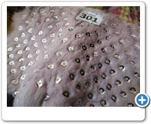 collection 8 Paillettes 301
